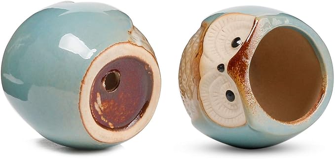 T4U 2.5 Inch Owl Ceramic Succulent Planter Pots with Drainage Hole Set of 12, Small Cactus Pots Cute Plant Holder Container Best for Home Office Decor Gardening Gift