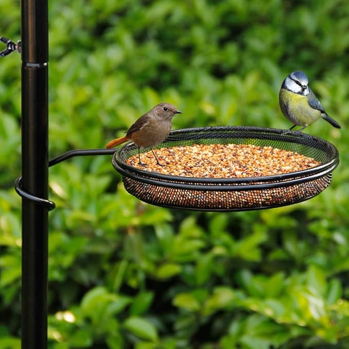 yosager Premium Bird Feeding Station Kit, 75" x 21" Bird Feeder Pole, A Multi Feeder Hanging Kit with Metal Suet and Bath for Attracting Wild Birds, Birdfeeder and Planter Hanger