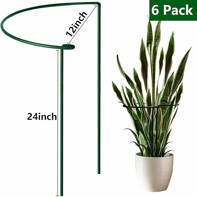 TCBWFY 24" Hx12 D Plant Supports Stakes for Large Heavy Plants,6 Pack Peony Supports,Heavy Duty 5mm Wire Peony Cages,Interlock Garden Supports Ring Border Support,Plant Support Cage for Rose Flowers