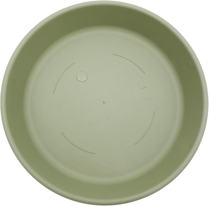 The HC Companies 6 Inch Round Plastic Classic Plant Saucer - Indoor Outdoor Plant Trays for Pots - 6.75"x6.75"x1.13" Seafoam