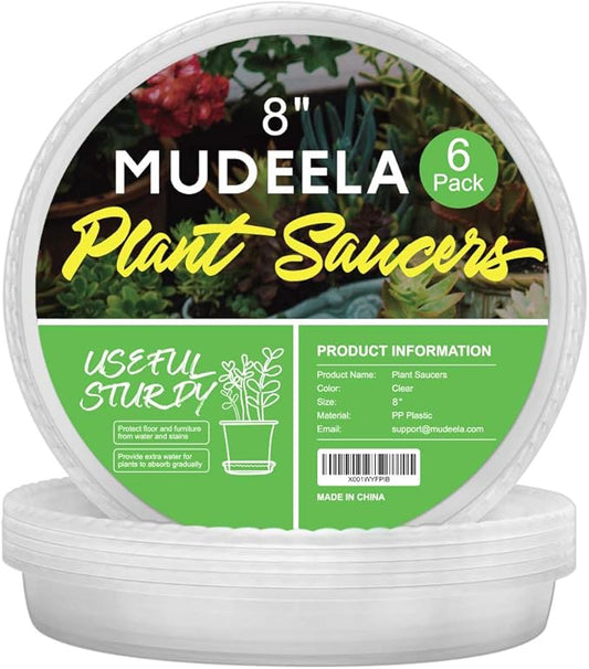 MUDEELA 6 Pack of 8 inch Plant Saucer, Durable Plastic Plant Trays for Indoors, Clear Plastic Flower Plant Pot Saucer, Made of Thicker, Stronger Plastic, with Taller Design
