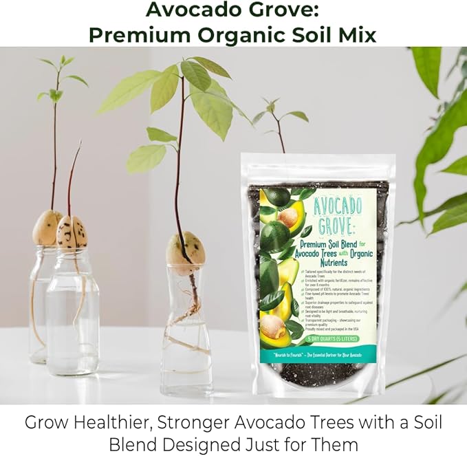 Avocado Tree Soil – Premium Organic Potting Mix for Avocado Trees | Tailored pH & Organic Nutrients | Fast-Draining & Moisture-Retaining | Indoor & Outdoor Use (3 QUARTS)