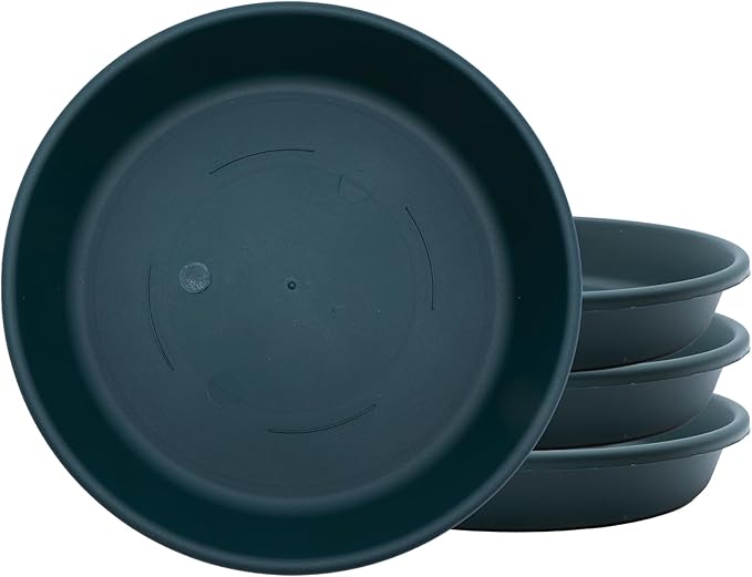 The HC Companies Flower Pot Saucers - Plastic Plant Saucer for Outdoors & Indoors - Traditional Design Plant Pot Trays for Water Drainage - Durable & Stylish Round Plant Tray (8-inch Evergreen)