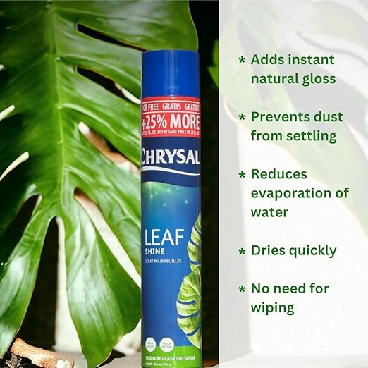 Chrysal Leafshine 25oz aerosol Bonus Size 25% More from Holland Formely Pokon/Item NO#I-86/Q-UI754383121