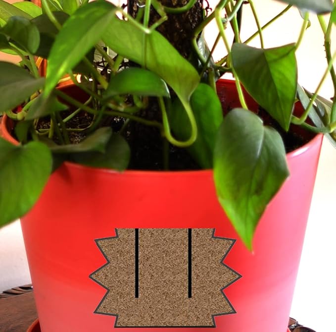 Mosser Lee Sphagnum Moss Pole for Indoor Plants, Monstera Moss Pole, Plant Pole Made in USA - Ideal for Climbing Plants, Enhances Plant Growth & Stability - 12" Height