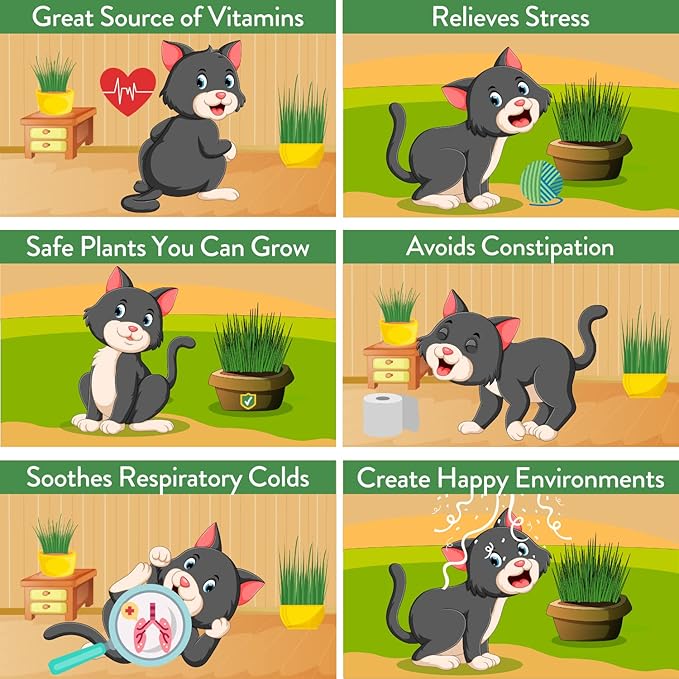 HOME GROWN Cat Grass Seed Mix – Non-GMO Oat, Alfalfa, Rye & Wheat Seeds for Cats | Indoor Pet Grass with Fast Germination | Digestive Aid, Hairball Relief & Safe Chew Alternative