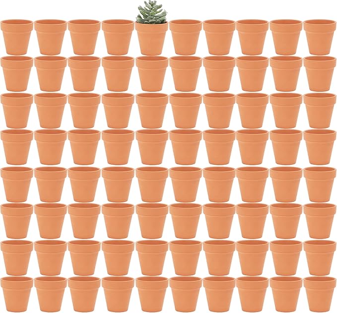 Yishang 2 inch Small Terracotta Pots with Drainage Holes,Mini Clay Ceramic Pottery Planter,Cactus Flower Nursery Terra Cotta Pots, for Indoor/Outdoor Succulent Plants, Crafts, Wedding Favor(80 Pack)