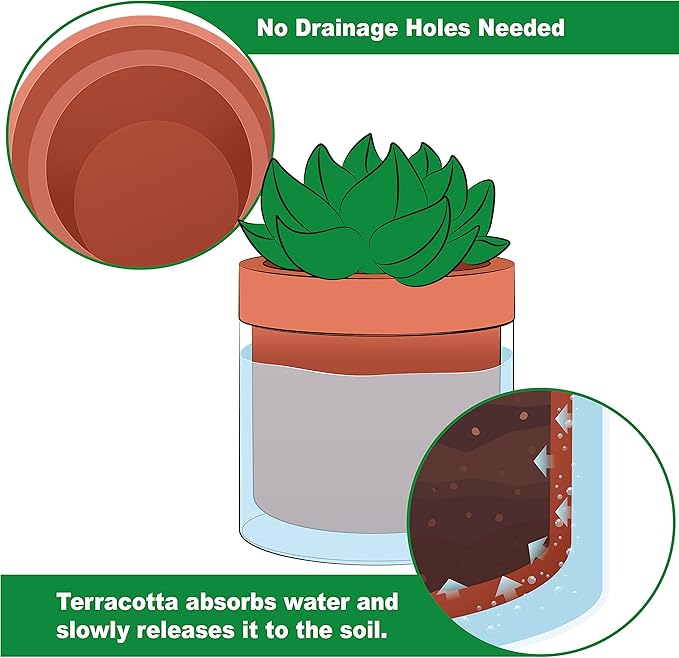 Phoenix Vine 4 Inch Self Watering Planter Pot, Terracotta Clay Pot with Glass Reservoir for Indoor Plants, Herbs, Flowers, Set of 1, 52-A-E-1