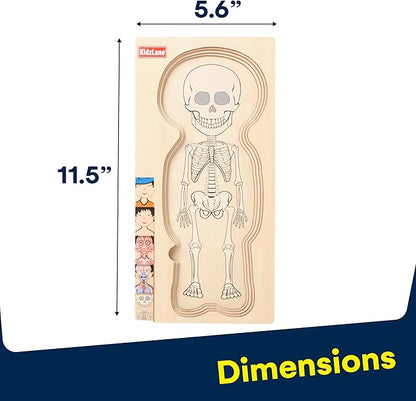 Kidzlane Wooden My Body Puzzle for Toddler - 5-Layer Human Anatomy Puzzle - Real Wood - Multicolor - Educational Toy for Kids - BPA Free - Explore Skeletal, Respiratory, Digestive System