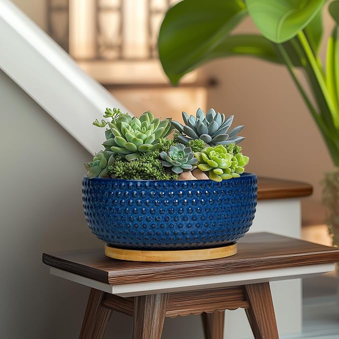 Bonsai Pots - 8 Inch Ceramic Pots for Succulent Plants & Bonsai Tree, Planter with Drainage Hole and Saucer, Modern Round Decorative Flower Planters, House Decor, GIFS for Women Man, Blue