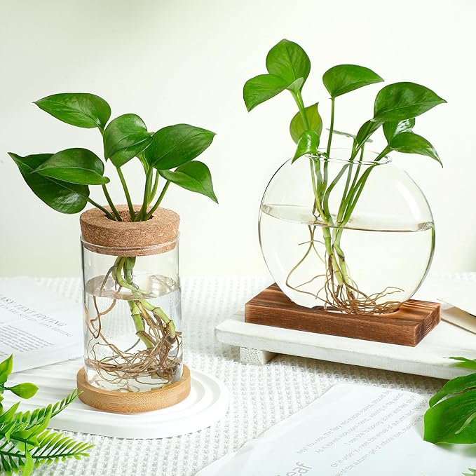 Layhit 4 Pcs Plants Propagation Stations Separated Desktop Plant Terrarium Glass Planter Vase with Wooden Lid and Bamboo Stand for Growing Hydroponic Home Office Tabletop Decoration (Novelty Style)