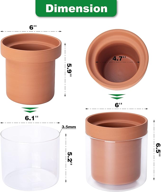Phoenix Vine 6 Inch Self Watering Planter Pot, Terracotta Clay Pot with Glass Reservoir for Indoor Plants, Herbs, Flowers, Set of 1, 52-A-F-1