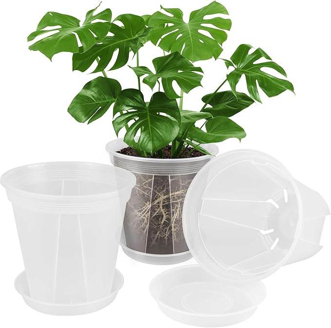 GREENPARA 8-inch Transparent Plastic Garden Pots Planter with Saucer Plant Pot Nursery Pots Drainage Hole for House Plants, Herb, Flowers, and Cactus with Plant Labels, 3-Set