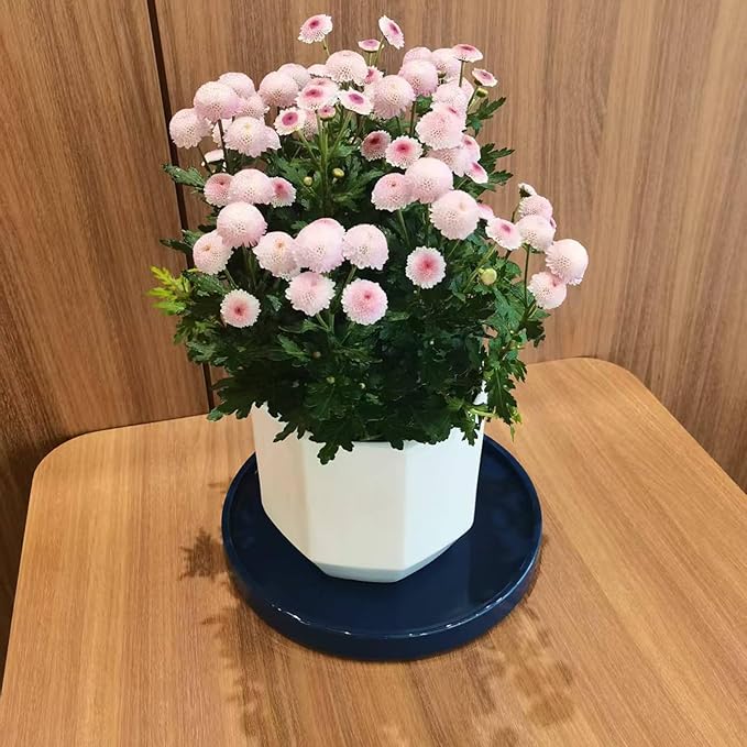 Ceramic Flower Pot Saucers, 9 Inch Plant Pot Saucers for Indoors Plants, Plant Trays for Pots Holding Water Drips and Soil, Drainage Tray for Plant Pot (Blue)