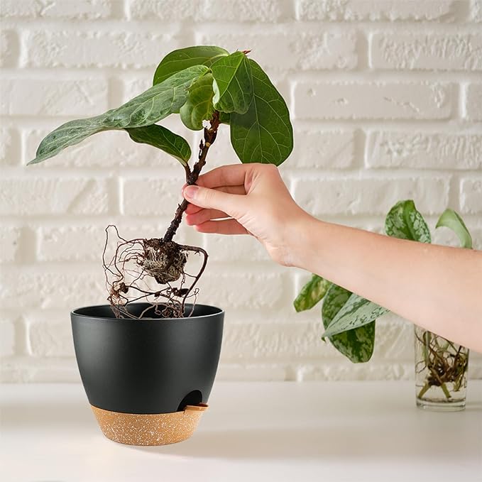 Indoor Pots for Plant Self Watering Plant Pots for Lazy People, 8/7.57/6.5/6/5.5/5 Inch,Black Plastic Self Watering Planter for All Houseplants,Succulent, African Violets, Flowers and Cactus