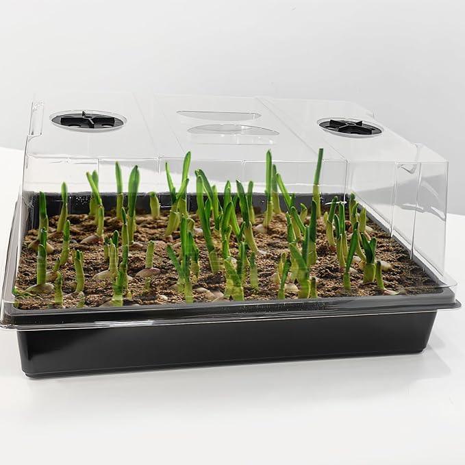 Seed Starter Trays with 5'' Tall Domes-Large Humidity Dome Plant Germination Tray, Reusable Planting Trays, 4 Packs Clear Lid Microgreen Tray for Plant Growing Seedling Propagation Faster