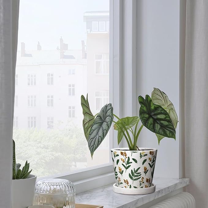 5.5 Inch Decorative Plant Pots, Round Ceramic Planters for Indoor Plants Pots with Drainage Hole Saucers, Lemon Green Leaves Ceramic Flower Pots Retro Planter Pot for Succulents Cactus Outdoor Garden