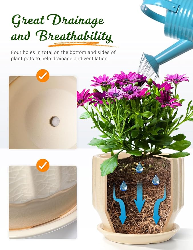 AISBUGUR Plant Pots 6 inch Set of 2 Ceramic Pots for Indoor Plants with Drainage Hole and Saucer Unique Crackle Glaze Design Garden Flower Pots Come with Drainage Nets, Creamy White