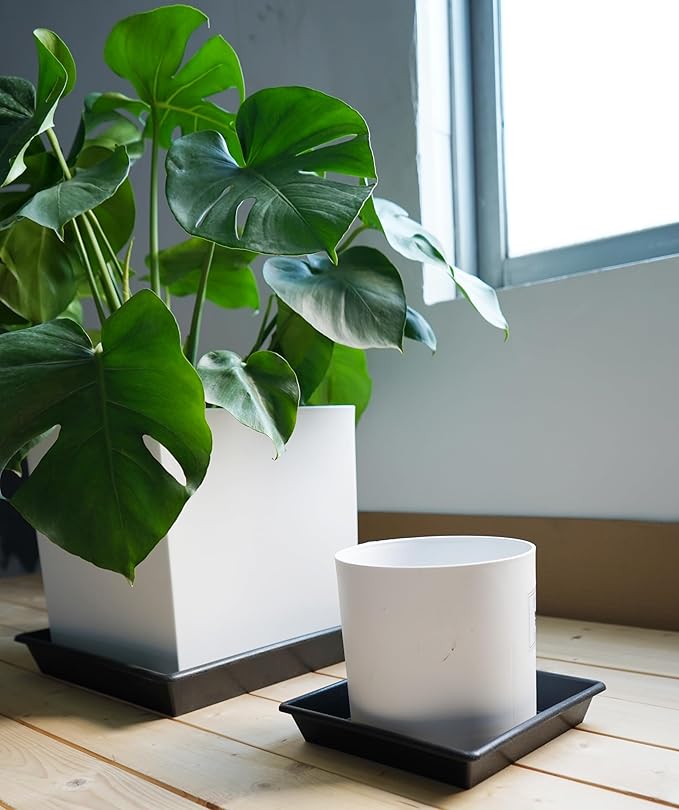 Square Plant Saucer 20 Inch 2 Pack 16 18 20 Extra Large Plant Trays for Pots Heavy Duty Plastic Plant Saucers for Indoors Outdoors, Flower Pot No Holes Plant Drip Trays
