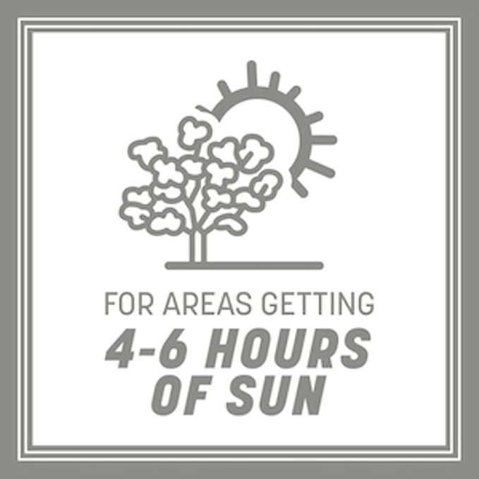 Pennington Contractors Grass Seed Mix Northern Mix 40 lb