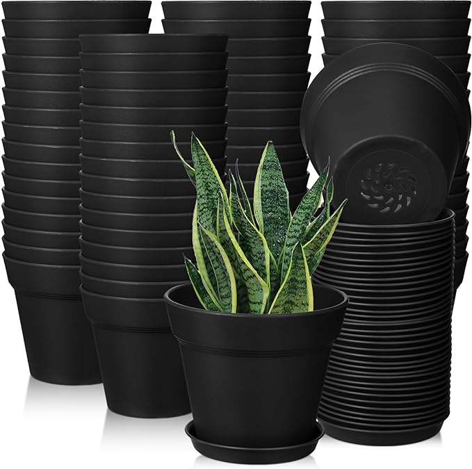 Mumufy 54 Pack 4 Inch Plant Pots Bulk Small Planter with Drainage Hole and Saucer Small Plastic Pots for Flowers Succulent Cactus and All House Indoor(Black)