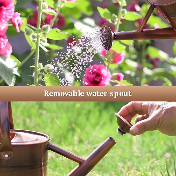 Watering Can for Outdoor Plants and Indoor Plants,1 Gallon Metal Watering Can for Garden Flower,Galvanized Steel Metal Water Can Watering Pot with Sprinkler Head