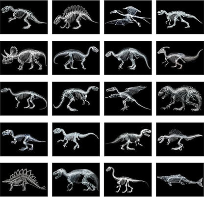 Chunful 20 Pcs Animal X-Ray Kit Wildlife X-Ray Flash Cards Educational Science Kit Light Table Toys Accessory, 11.7" x 8.3'' (Dinosaurs)