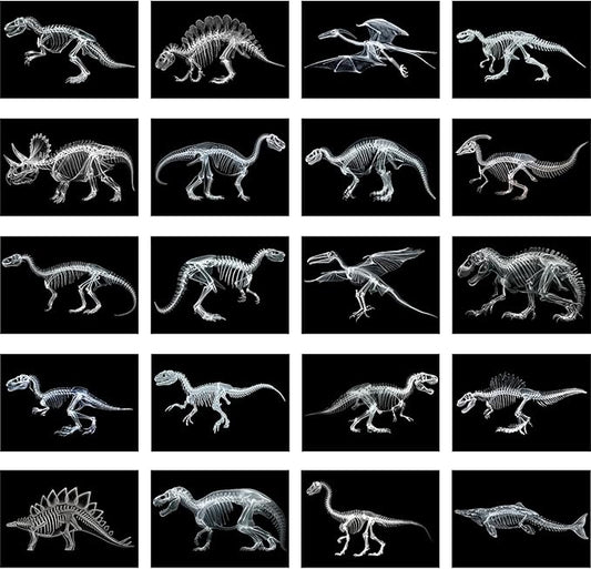 Chunful 20 Pcs Animal X-Ray Kit Wildlife X-Ray Flash Cards Educational Science Kit Light Table Toys Accessory, 11.7" x 8.3'' (Dinosaurs)