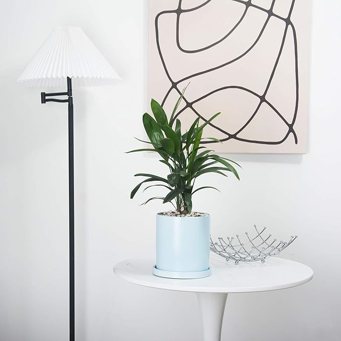 Planters for Indoor Plants Ceramic Flower Succulent Plant Pots with Drain Hole Saucer Decor for Home Office (6 inch Blue)