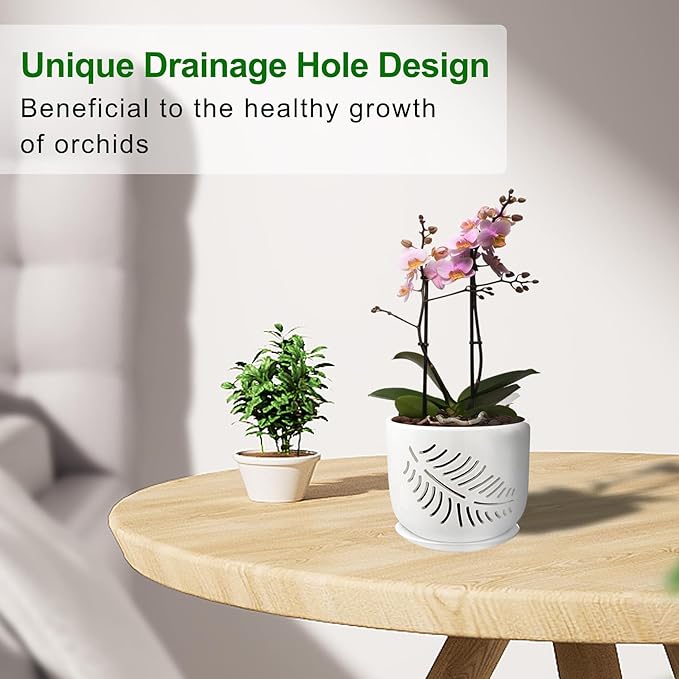 Orchid Pots with Holes, 5+6 Inch Orchid Pot,Ceramic Plant Pots for Plants Lovers, Enhance Good Ventilation and Drainage, Indoor/Outdoor Orchid Pots for Repotting