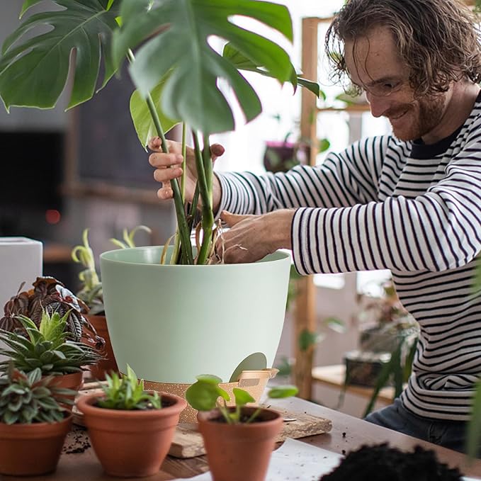 Indoor Pots For Plants 3 Pack 12/10/9 Inch Self Watering Pots For Lazy People,Self Watering Pots For Indoor Plants,Outdoor Pots For Succulent, African violets And Cactus Green Plastic Flower Pots