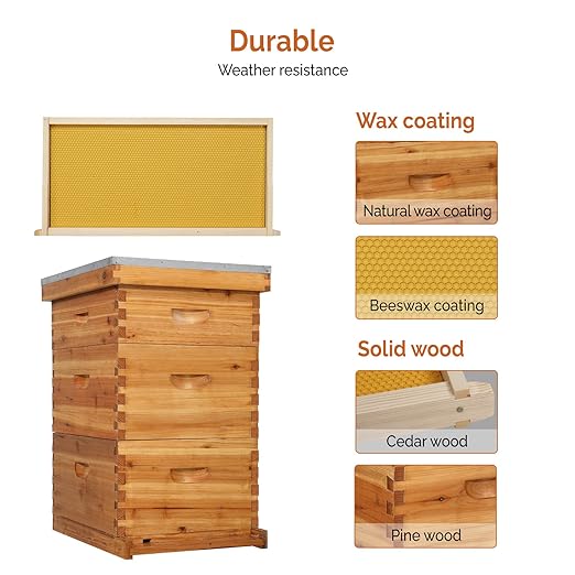 VINGLI 10-Frame Bee Hive, Wax Coated Beehive Starter Kit with Frames & Beeswax Coated Foundation Sheets (3 Layer)
