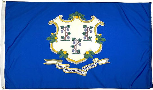 FlagSource Connecticut Nylon State Flag, Made in USA, 4x6'