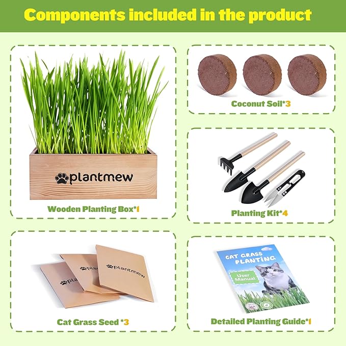 Organic Cat Grass Kit for Indoor Cats - 3 Pack with Cat Grass Seeds, Nutrient Soil & Planter Pots | Complete Growing Set for Fresh Pet Grass (Non-GMO Wheat Grass)
