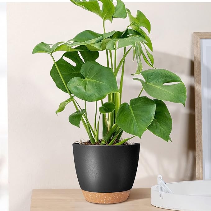 GARDIFE Plant Pots Set of 2 Pack 8 inch,Planters for Indoor Plants with Drainage Holes, Modern Decorative Flower Pots for All House Plants, Flowers, Black&Brown