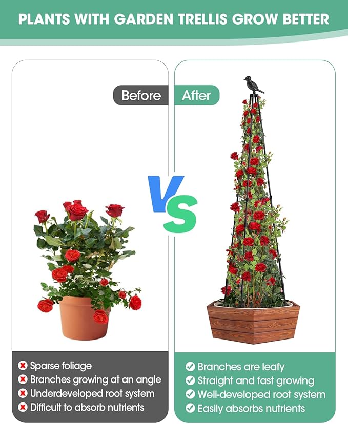 Trellis for Climbing Plants Outdoor, 2 Pack Plant Trellis Support for Climbing Vine, Plant Support Tower Cages Plastic Coated Metal Pipe Supports for Outdoor Indoor,Tomato cage (Black, 5 FT)