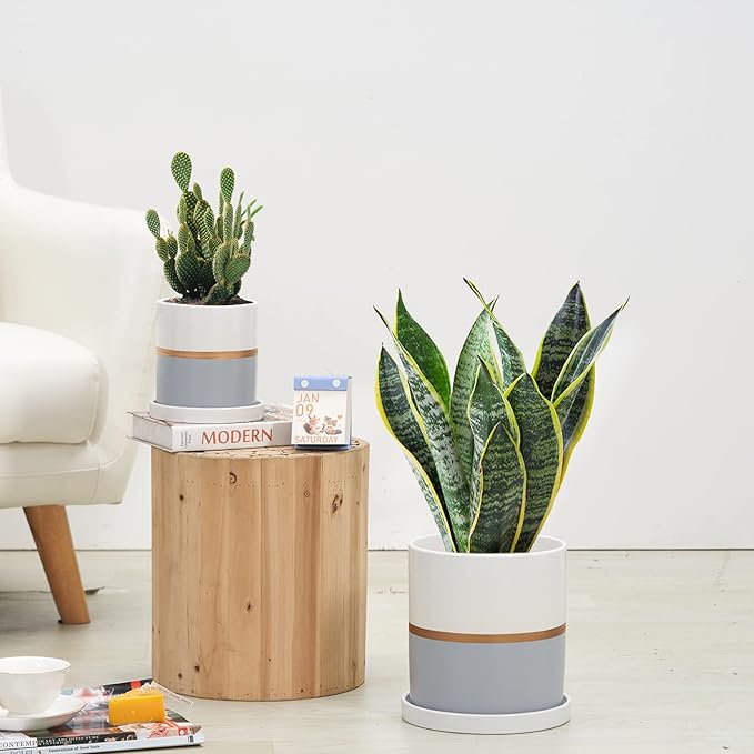 Ekirlin 5 inch Plant Pot - Ceramic Flower Planters Indoor - Modern Succulents Containers with Drain Hole Saucer, Decorate Home, Office & Outdoor (Grey)