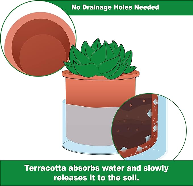 Phoenix Vine 6 Inch Self Watering Plants Pot, Design Terracotta Pot for Plants, Indoor Cylinder Terra Cotta Planter with Glass Vase, Set of 1, 51-A-F-1