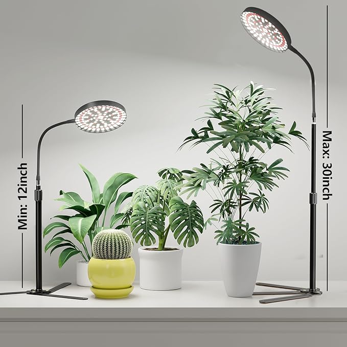 Super-Bright Grow Light 100W, 6000K 216LEDs White Full Spectrum Plant Growing Lamp for Home Office Indoor Plants,Adjustable Height & Auto Timer 4 8 12Hrs, 12V 3A High Power Output for Faster Growth