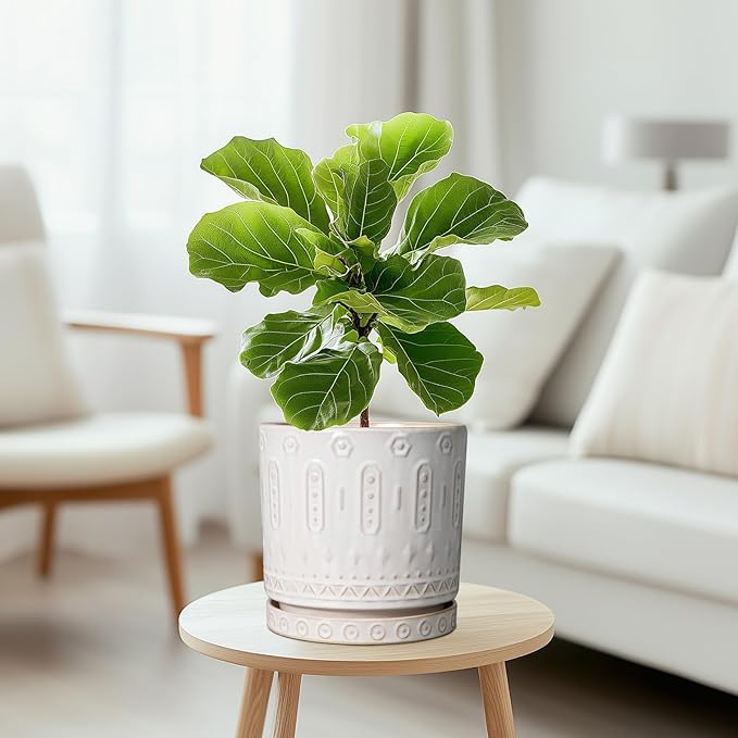 Ceramic Planter for Indoor Plants - 8 Inch Plant Pot Outdoor Flower Pot with Drainage Holes and Saucer Modern Round Planter Succulent Pot for Home Garden Decor White