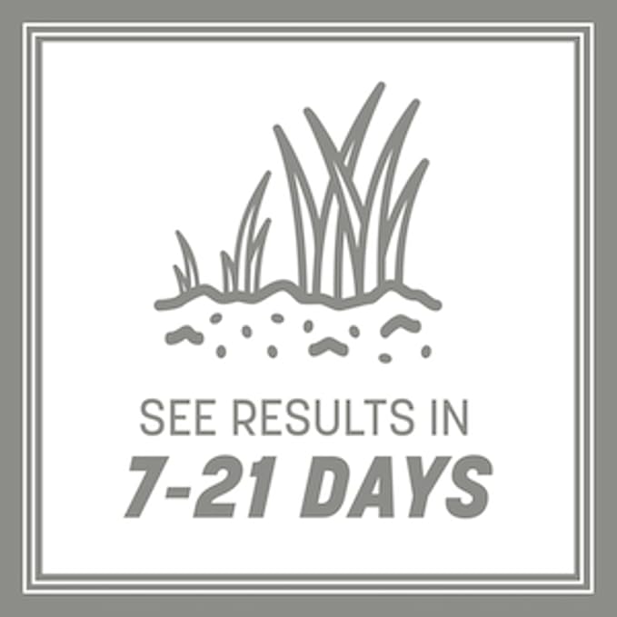 Pennington Contractors Grass Seed Mix Central 20 lb