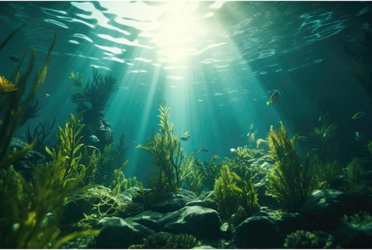 Ocean Aquarium Background Aquatic Plants with Rocks Terrarium Backdrop Sunlight Rays Deep Sea Fish Tank Background Aquarium Wallpaper Poster Decor Vinyl 36x18in