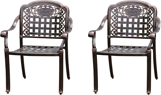 Outdoor Dining Chair Cast Aluminum Patio Chairs Set of 2 All-Weather Patio Dining Chair with Adjustable Feet for Backyard Garden (Positive Lattice Landscape Chair)