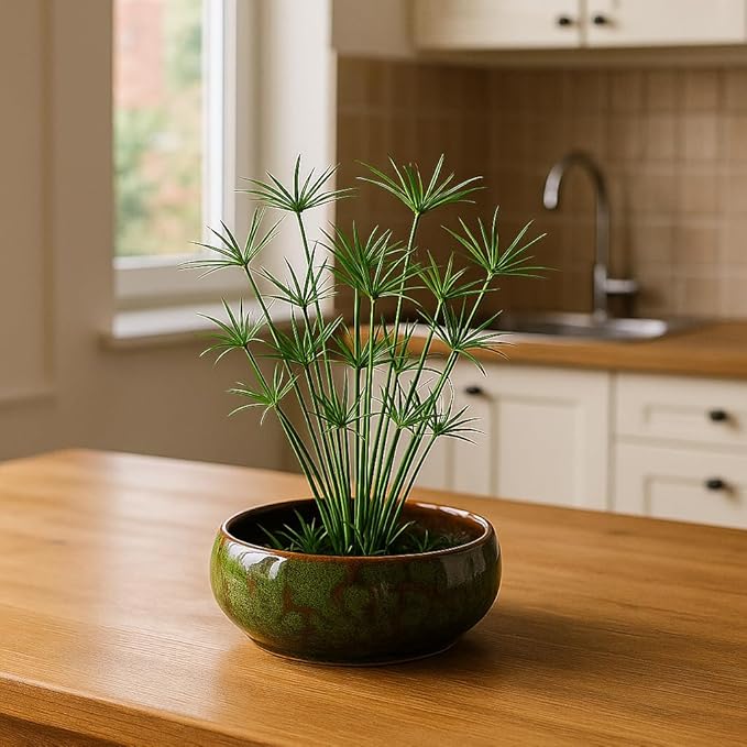 Lotus Bowl Planter, Lotus Bowls for Planting in Water Indoors,6.5-inch Round Succulent Flower Pot with Rotating Bracket, Leak-Proof Design, Suitable for hydroponic Plants, Succulents (Green)