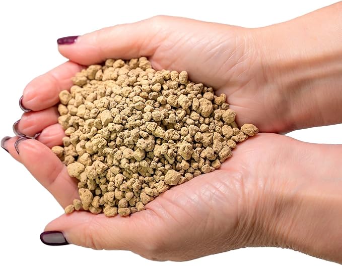 Japanese Hyuga Pumice - 20 Quart - Premium Additive for Orchid & Bonsai Tree Soil |Professional Imported Sifted and Ready to Use (4 Bags of 5 Quart)