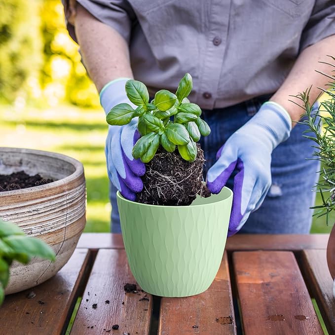 6 inch Plant Pots, 5 Pack Flower Pots with Drainage Holes and Saucers for Indoor Plants, Plastic Planters with Water Ripple for Small Garden House Plants, Nursery Pots for Succulent, Green