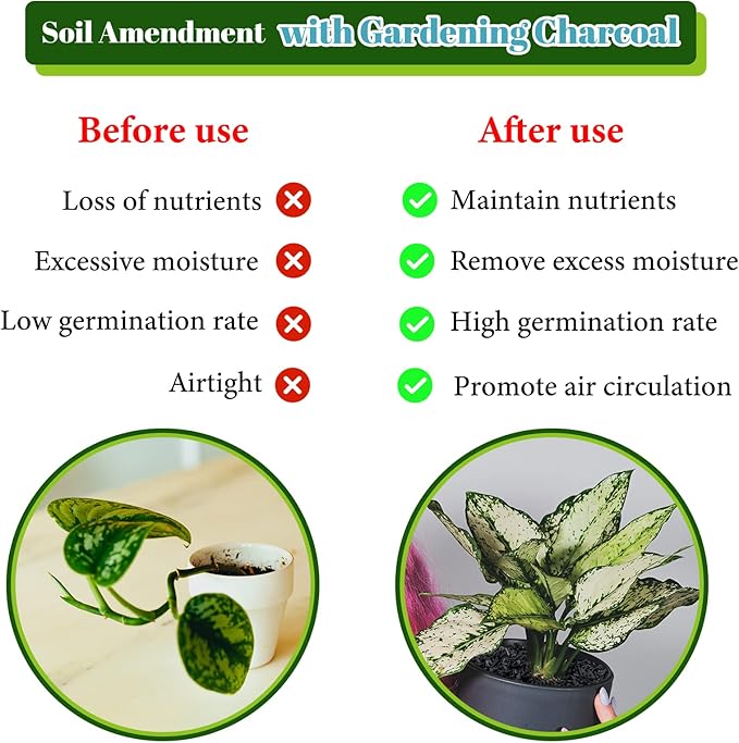 Legigo 4QT All Natural Horticultural Charcoal- Activated Hardwood Plant Charcoal for Soil Amendment, Conditioning Bonsai Soil, Succulent Soil, Terrarium Supplies, Indoor Plant Potting Soil