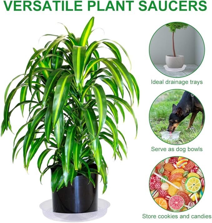 5 Pack Clear Plant Saucer Heavy Duty Sturdy Drip Trays for Indoor and Outdoor Plants
