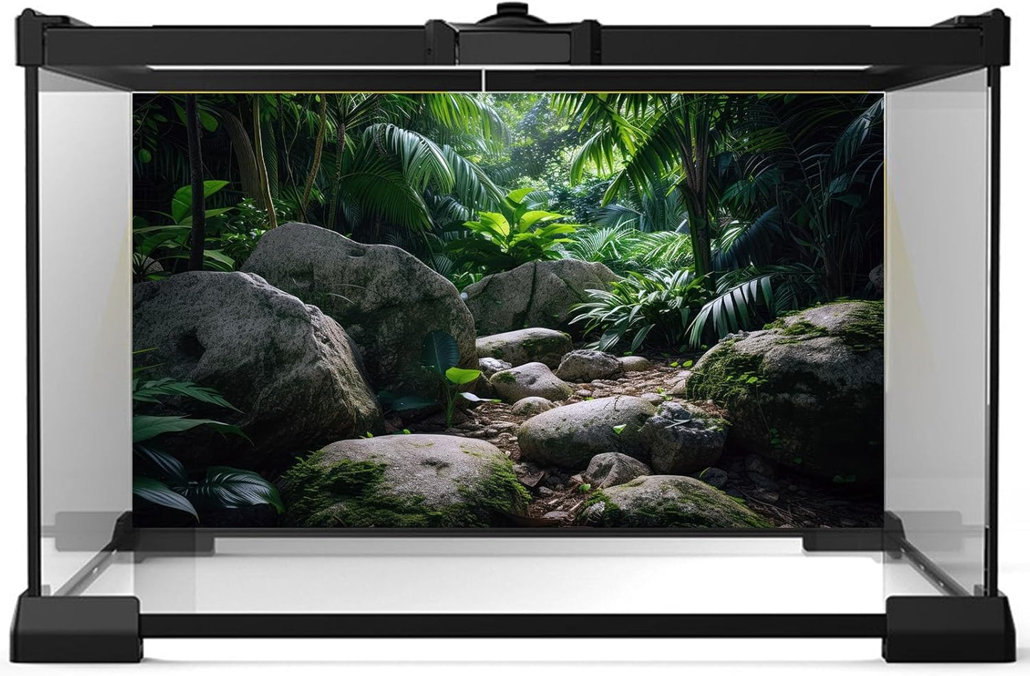 Reptile Habitat Backdrop Lush Tropical Plants and Rocks Terrarium Backdrop Dense Vegetation with Large Broad Leaves and Ferns Fish Tank Background Aquarium Wallpaper Poster Decor Vinyl 72x18in