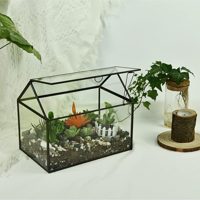 Black 1 Large Glass Plant Terrarium Kit with Lip Greenhouse for Succulents